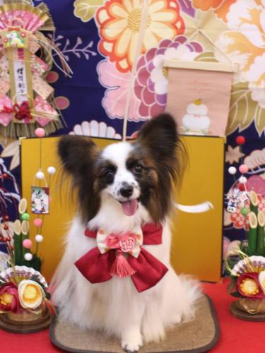 20240114マリーちゃん